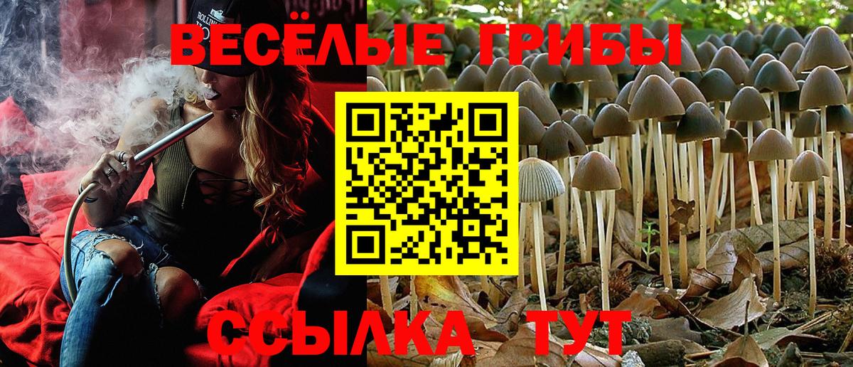 Галлюциногенные грибы Magic Shrooms Великий Новгород