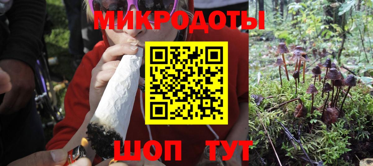 Великий Новгород  магазин продажи наркотиков  Вход с VPN  Псилоцибиновые грибы ЛСД 